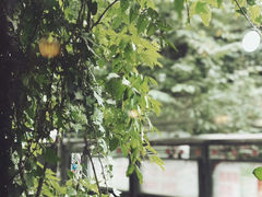 -1013咖啡书吧(兰庭国际店)