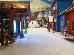 -湘江欢乐城欢乐雪域