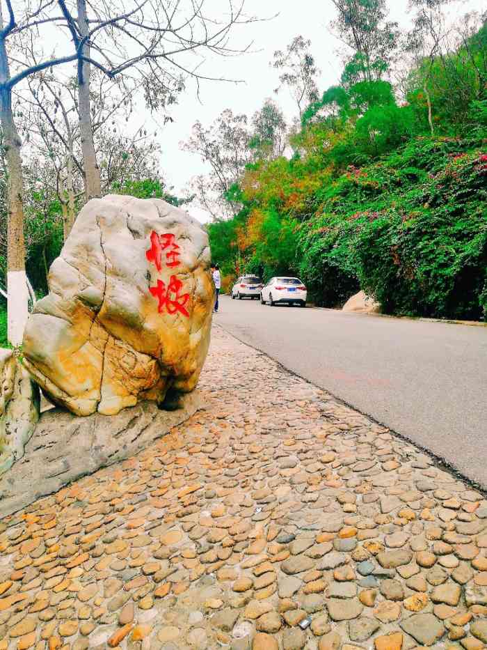 怪坡-"厦门的怪坡不是很长,上坡感觉是下坡,下坡."-大众点评移动版