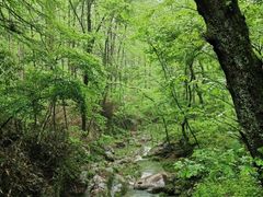 -波尔登森林公园