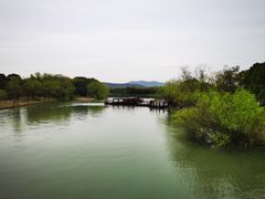 -苏州太湖国家湿地公园