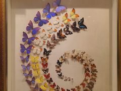 -广州白天鹅宾馆