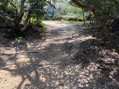 -梧桐山风景名胜区