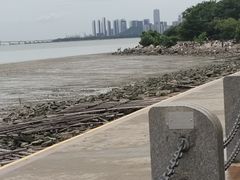 -深圳湾公园(南山区)