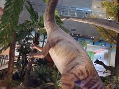 -湖南省地质博物馆