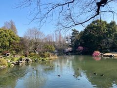-杭州植物园