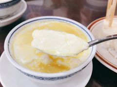 姜汁双皮奶-民信老铺(人民路店)