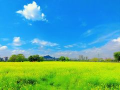 -光明小镇欢乐田园