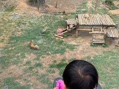 -泉州海丝野生动物世界