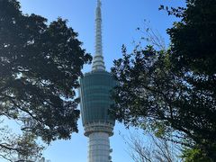 -梧桐山风景名胜区