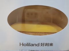 -蒲公英(五里店)