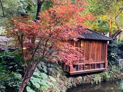 -大妙火锅·非物质文化遗产(东湖公园店)