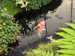 -罗红摄影艺术馆