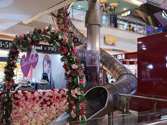 -巴黎春天(浦建店)