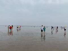 -碧海金沙