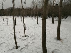 -长春市南湖公园