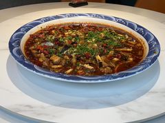 -新概念来凤鱼(璧山店)