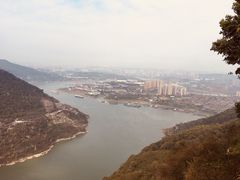 -铁山坪森林公园