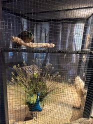 -酷嗒动物文化乐园(cutezoo西溪乐天城店)