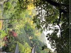 -十八棵（老龙井）御茶园(老龙井店)