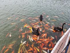 -春晖园度假酒店温泉