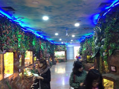 iphone_upload_pic-上海大自然野生昆虫馆