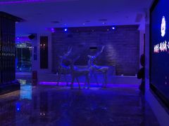 -奥斯汀KTV(金湖店)