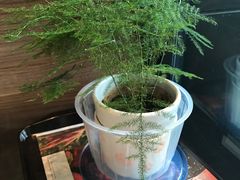 -麦当劳(凌云天地长桥店)
