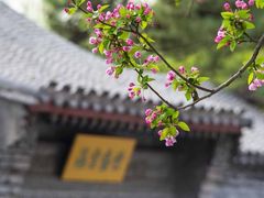 -海棠花溪(元大都城垣遗址公园)