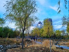 -莲花池公园
