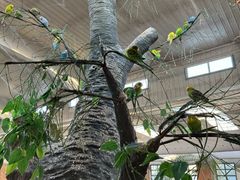 -南宫五洲植物乐园