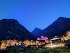 -禅宗少林·音乐大典