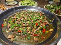 -正宗来凤鱼璧山兔(花卉园店)