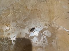 -锦州元都大酒店(凌河古塔夜市店)