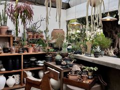 -自由生长植物工作室(深港花卉中心店)
