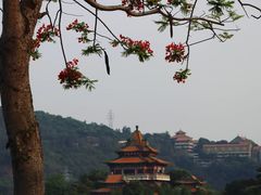 -顺峰山公园