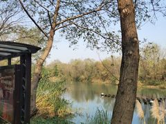 -西溪国家湿地公园