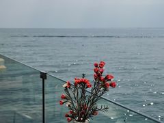-大理洱海