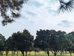 -汉长安城未央宫国家考古遗址公园