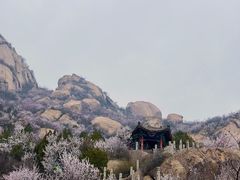 -北京凤凰岭