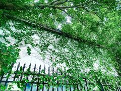 -人民公园(罗湖区)