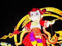 -武汉园博园(武汉自然博物馆)
