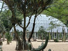 -深圳仙湖植物园