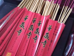 -亭林园-华藏寺