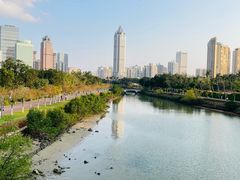 -万绿园