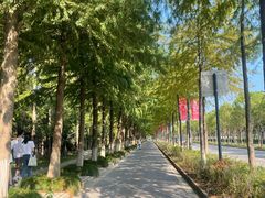 -上海长兴岛郊野公园