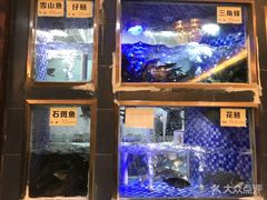 -沱江鱼府(丽江店)