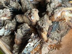 -活鱼馆(宜兴埠店)