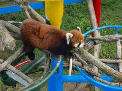 -西霞口神雕山野生动物世界