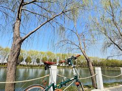 -DAHON大行折叠自行车(松江旗舰店)